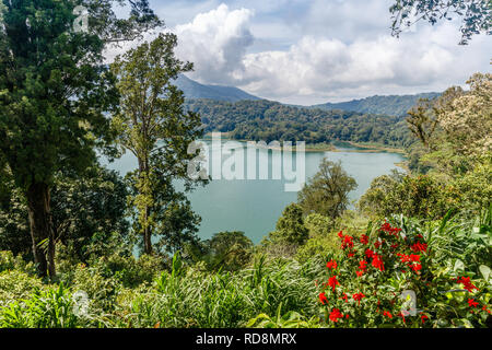 Der Buyan See (Danau Buyan) von der Spitze. Bedugul, Buleleng, Bali, Indonesien. Stockfoto