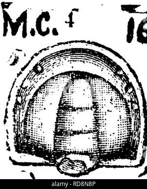 . Ein Wörterbuch der Fossilien von Pennsylvania und Nachbarstaaten in die Berichte und Kataloge der Umfrage benannt... Paläontologie. . Bitte beachten Sie, dass diese Bilder sind von der gescannten Seite Bilder, die digital für die Lesbarkeit verbessert haben mögen - Färbung und Aussehen dieser Abbildungen können nicht perfekt dem Original ähneln. extrahiert. Lesley, J. S. (J. Peter), 1819-1903; Pennsylvania. Kollegium der Kommissionsmitglieder für die Zweite Geological Survey. Harrisburg, Vorstand der Kommissare für die Geologische Übersicht Stockfoto
