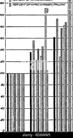 . Bakterien in Bezug auf die Fruchtbarkeit des Bodens. Boden Mikrobiologie, Bakteriologie, Landwirtschaftliche. Gülle 217 monia führt zu einer erhöhten Produktion von Nitraten. Dieser Prozess ist proportional stärker beschleunigt als AMMONI-isierung, wie aus Bild gesehen werden kann. 44. Darüber hinaus gibt es eine viel^^ BFS oeo aoo £ 00/SO/60m&gt; Firma 11] P £/? c^r/rorMAcT £ P//ii pffp c £ vr DER M7i^c/wrPos £/engere Korrelation zwischen In-gerillt Nitrifikation und auf Ernteerträge durch den Einsatz von wirtschaftsdünger als Es gibt zwischen erhöhten ammonifi - kation und mehr Ertrag. Das ist es, was man erwarten würde Stockfoto