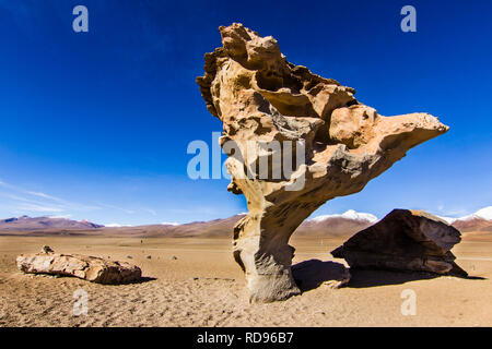 Arbol de Piedra (Steinbaum) ist ein Stein in der Form eines Baumes in der Siloli-Wüste, Bolivien, Südamerika, eine vom Wind erodierte, beeindruckende Felsformation Stockfoto
