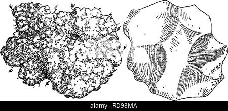 . Die Art und die Eigenschaften der Böden; ein Kollegium Text von edaphology. Böden. 142 NATUR UND EIGENSCHAFTEN VON BÖDEN, die Granulation in Erde bringen, ist es schwierig, genau zu erklären, warum dieses Phänomen stattfindet. Es ist vorgeschlagen worden, dass viel von der Granulat, Anordnung in der Böden durch die Kontraktion der Feuchtigkeit um die Partikel ist, wenn, aus irgendeinem Grund, der Feuchtigkeitsgehalt verringert wird. Es ist bekannt, dass die Erde Partikel in der Regel gemeinsam durch diese Reduzierung der Boden- - Feuchtigkeit, durch die Zugkraft des dünner Filme gezeichnet zu werden. Wenn zu diesem Zustand ist ein Materi hinzugefügt Stockfoto