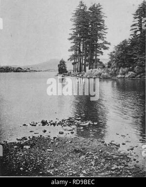 . Natur Studien in Berkshire. Natural History. . Bitte beachten Sie, dass diese Bilder sind von der gescannten Seite Bilder, die digital für die Lesbarkeit verbessert haben mögen - Färbung und Aussehen dieser Abbildungen können nicht perfekt dem Original ähneln. extrahiert. Adams, John Coleman, 1849-1922. New York und London, G. S. Putnam's Sons Stockfoto