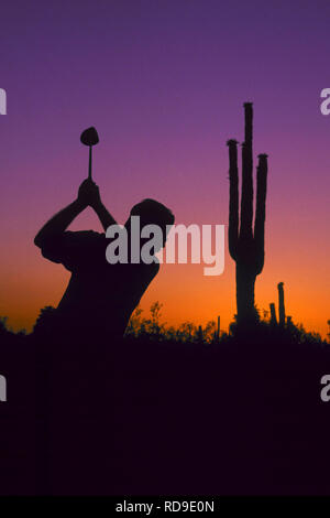 Die Silhouette eines Golfspieler am Ende von seinem Hub bei Sonnenuntergang in Phoenix, Arizona. Stockfoto