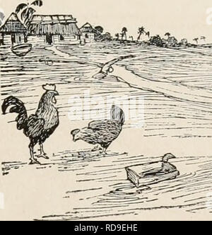 . Der Kuba zu überprüfen. Kuba -- Zeitschriften. TH E KUBA REVI EW. 15 kubanischen Zeitung Kommentar gether, die politischen Voraussetzungen sind, dass kein Grund zur Angst. Wir haben keine Revolution." Eine weitere Intervention. El Diario de la Marina, das älteste und wichtigste Tageszeitung der Insel, Kom- mentieren kann 19 auf Gerüchte aus den Vereinigten Staaten von Dritten In- tervention in der Insel Angelegenheiten, sagt sie zweifellos wurden gestartet von Pro-Söhne, die persönlich es Gewinn wäre. Sie fügt hinzu, dass, wenn eine solche Intervention ohne ausreichende Ursache kommen sollte, wie es betont die Würde Stockfoto