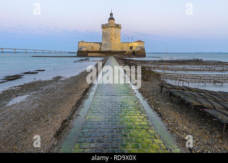 Fort Louvois bei Ebbe, Charente-Maritime, Frankreich Stockfoto