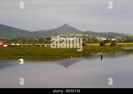 Kilcoole Feuchtgebiet mit Höckerschwan, wichtiges Feuchtgebiet für die Fütterung Zwergseeschwalben und Watvögel nisten. Stockfoto