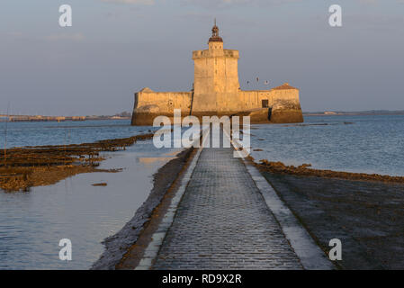 Fort Louvois bei Ebbe, Charente-Maritime, Frankreich Stockfoto