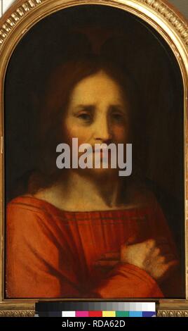 Jesus, das Licht der Welt. Museum: private Sammlung. Autor: Rosso Fiorentino. Stockfoto