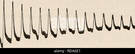 . Acht Vorträge zum Zeichen des Lebens von der Aspekt. Elektrophysiologie. Mechd. nicd. L Antwort. Elektrische&amp; L Antwort, Abb. 2. - Gleichzeitige Aufzeichnungen über eine Reihe von Muskelkontraktionen und der entsprechenden Reihe von negativen Abweichungen. Die Verfahren und Vorrichtung für den Erhalt solcher Aufzeichnungen ist im Anhang beschrieben, S. 160, Abb. 63. Kabel und unpolarizable Elektroden, gibt an, dass Sie, durch die Exkursion des reflektierten Lichtpunkt, das Ausmaß oder die Spannung des zugehörigen elektrischen Bewegungen. Der Muskel wird indirekt angeregt, durch die Erregung der Nervenzellen, und, wie Sie se Stockfoto