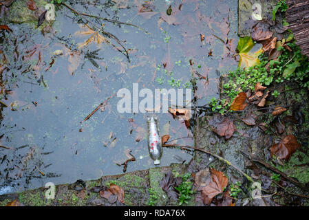 Weggeworfene Müll entlang des Flusses Lea in London gefunden Stockfoto