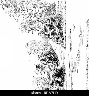 . Handbuch der Gartenarbeit; ein praktischer Leitfaden für die Herstellung der Anlage und den Anbau von Blumen, Obst und Gemüse für zu Hause. Im Garten arbeiten. 70 HANDBUCH DER GARTENARBEIT Kreuzungen. Diese Regelung bewirkt, dass die meisten der Oberfläche Wasser aus beiden Straßen vorbei an den Kreuzungen zu laufen, macht es notwendig, den Bürgersteig zu betätigen, so dass man nach unten und nach oben in die von der einen Seite der Straße zur anderen, oder sonst einen Durchgang für das Wasser muss durch die Kreuzung gemacht werden muss. Es kann gesagt werden, dass ein Schritt nach unten auf den Bürgersteig und wieder auf den Bürgersteig an der Straße zwischen den Abschnitten ist ohne conseq Stockfoto
