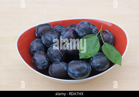Rot Schüssel mit feuchten Pflaumen auf hellem Holz Stockfoto