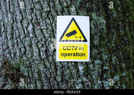 Cctv in Operation Hinweis auf einen Baumstamm. Vereinigtes Königreich Stockfoto
