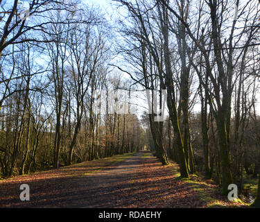 Wandern entlang der stillgelegten Bahnstrecke in Richtung der alten Station am Holmsley im New Forest. Stockfoto