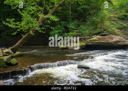 Vidaduct Park außerhalb von Bedford in Cleveland, Ohio. Stockfoto