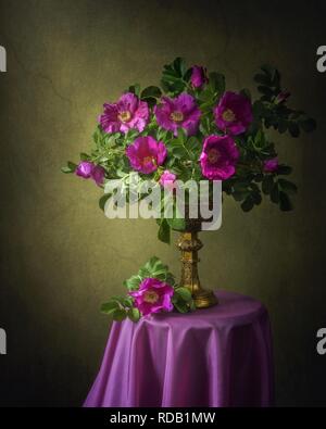 Stillleben mit Blumenstrauß aus rosa Wildrosen Stockfoto