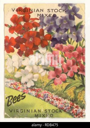 Original Vintage Bee's Seeds Paket, Virginian Stock Mixed Flowers, Liverpool, Großbritannien, um 1930er/1940er/1950er Jahre Stockfoto
