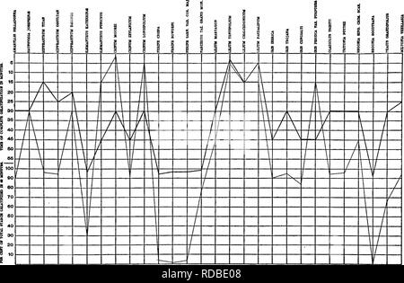 . A biochemic Basis für das Studium der Taxonomie, Vererbung, Evolution, etc., mit besonderer Bezugnahme auf die Stärke und das Gewebe des Elternteils - Aktien und Hybrid-Bestände und die Stärke und hämoglobine von Sorten, Arten und Gattungen. Stärke; Biochemie; Pflanzen-hybriden; Pflanzen. 203 Tabelle B 31.-Chromsäure - Säure () und Pyrogallic-Säure (Reaktionen). Diagramm B32.--Säure (Salpetersäure), - Säure (Schwefelsäure) und Salzsäure-Säure (Reaktionen). Bitte beachten Sie, dass diese Bilder aus gescannten Seite Bilder, die digital für die Lesbarkeit verbessert haben mögen - Färbung und Aussehen o extrahiert werden Stockfoto