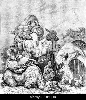 . Vom Nordpol zum Äquator: Studien des wilden Lebens und Szenen in vielen Ländern. Das Verhalten der Tiere; Vögel; Tundren; Ethnologie; Vögel. Die nomadischen Hirten und Herden OE DIE STERPES. - 4 G7 im Laufe eines Tages; wenn seine Last rutscht, es selbständig stoppt. Mit einem Reiter Es aloout dreißig Meilen ein Tag abdecken kann; mit einem Gewicht von acht cwts. auf seinem Rücken und zwingen ihn zu einer langsamen, aber schreitenden Schritt, sollte es verwalten Mindestens die Hälfte dieser Entfernung. Es streift Fast. -^?^) ^..^.^^.,''^: Abb. 68. âKirghiz mit Kamelen. immer in der Nähe der Jurte, in Gesellschaft mit all seinen Stipendiaten der Aul, und in den Augen der Stockfoto