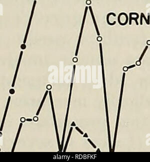 . Effiziente Nutzung von Stickstoff auf Ernte land im Nordosten. Pflanzen, Böden. Effiziente Nutzung von Stickstoff etwa zwei Drittel der fertiHzer N Broad-cast-Preplant angewendet und in den Boden eingearbeitet ist, die Pflanzen während der Vegetationsperiode zur Verfügung. Somit Dünger, 150 kg N/ha sind erforderlich preplant 100 kg N/ha zu den Pflanzen während der Wachstumsphase zu liefern. Die meisten effiziente Anlagen Verwendung von N Dünger tritt auf, wenn die N-Dünger wird als Seite gekleideten Anwendungen während der Vegetationsperiode nur vor dem Werk De-mand für die rasche Aufnahme und Reaktion. Frühe Anwendungen von Seite - Kleid Stockfoto