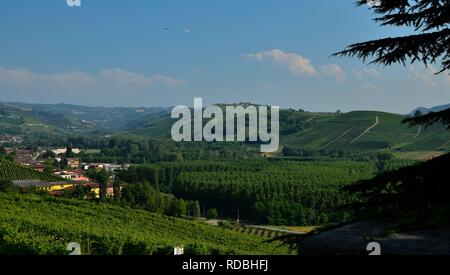 Grinzane Cavour, Piemont, Italien. Juli 2018. Am Fuße der Burg rund um himmlische Aussicht auf die Weinberge der Gegend. Es ist kein Zufall. Stockfoto