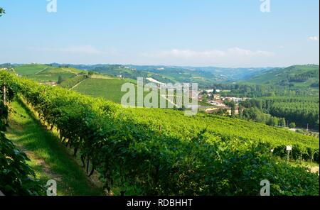 Grinzane Cavour, Piemont, Italien. Juli 2018. Am Fuße der Burg rund um himmlische Aussicht auf die Weinberge der Gegend. Es ist kein Zufall. Stockfoto