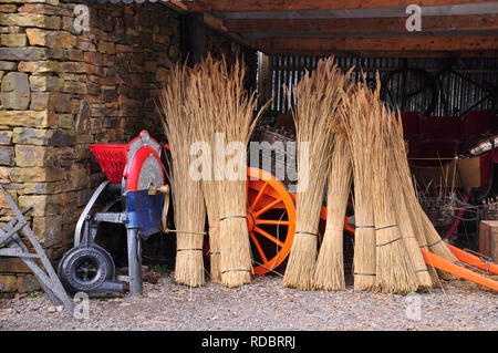 Thatching Schilf getrocknet und bereit für den Einsatz auf den Dächern der Hütten im Kerry Bog Village, County Kerry, Irland. Stockfoto