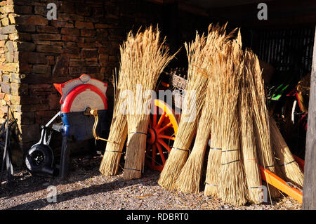 Thatching Schilf getrocknet und für den Einsatz auf den Dächern der Hütten im Kerry Bog Village, County Kerry, Irland bereit. Stockfoto