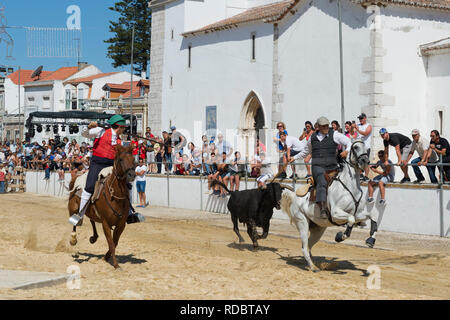 Wilde Bullen laufen und Reiter in den Straßen von Verbleitem, Festas do Barrete Verde e das Salinas, Provinz Alcochete, Setubal, Portugal Stockfoto