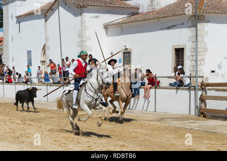 Wilde Bullen laufen und Reiter in den Straßen von Verbleitem, Festas do Barrete Verde e das Salinas, Provinz Alcochete, Setubal, Portugal Stockfoto