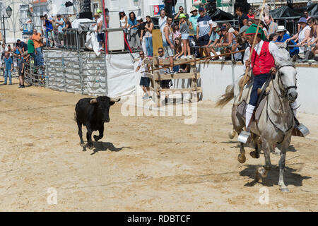 Wilde Bullen laufen und Reiter in den Straßen von Verbleitem, Festas do Barrete Verde e das Salinas, Provinz Alcochete, Setubal, Portugal Stockfoto