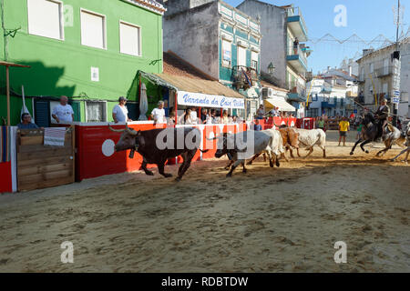 Traditionelle Largada de Toiros, Straße Stierkampf, Festas do Barrete Verde e das Salinas, Provinz Alcochete, Setubal, Portugal Stockfoto