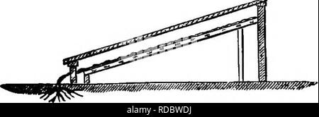 . Die Miniatur Obst Garten und moderne Obstgarten: oder, Die Kultur der pyramidalen und Bush Obstbäume: mit Anweisungen für root - Beschneiden, etc. Obst - Kultur. 85 CORDON BIRNEN AUF GITTER UNTER GLAS dieses System der pear-wachsen, wHcli, glaube ich, wird das System der tlie Zukunft sein, von der extremen Einfachheit und Wirtschaftlichkeit mit dem sie gebaut werden können. Abb. 8 Angepasst an alle Positionen, wurde seit einigen Jahren von Herrn Bellenden Ker für die Zwecke der wachsenden. Bitte beachten Sie, dass diese Bilder aus gescannten Seite Bilder, die digital für die Lesbarkeit erhöht worden sein können extrahiert werden - co Stockfoto