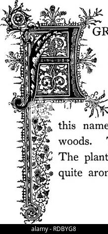 . Die Floral Kingdom: Geschichte, Stimmung und Poesie: ein Wörterbuch mit mehr als drei hundert Pflanzen, mit den Gattungen und Familien, zu denen sie gehören, und die Sprache der jeweils passende Edelsteine zu Poesie dargestellt. Blume, Blumen in der Literatur. ^ Â"-u^. ^ rrÂ" -c^f * "m'y^iQrimonta paroiflaua. Natürliche Ordnung: RosaceceâRose Familie.. GRIMONY, eine Pflanze, auch zu den Griechen und Römern bekannt und von Ihnen sehr für seine heilenden Eigenschaften geschätzt, war auf einmal dachte, besser als alle anderen zu Wissenschaft bekannt als Arzneimittel. Einige Autoren leiten den Namen von rQj der Gree Stockfoto