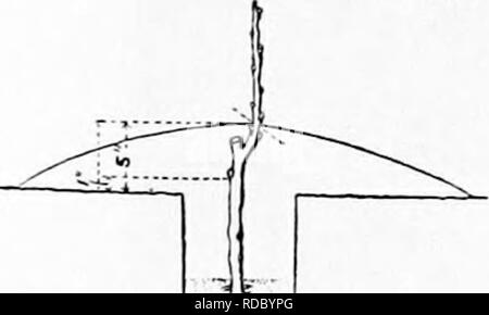 . Pflanzliches: Gewächshaus und Gärtnerei Praxis. Pflanzenvermehrung. (IlCNEKAL PUNKTE COXCERX IXC IKUlf IKl -:]-: STOCKS 179. Abb. 151 - HANDWERK EINPFLANZEN saftiger Früchte einer Sorte kann auf einige Bestände gewachsen als auf otliers sein, Ihnen schmackhafter Mälzerei. Süße und Säure de-pend Menge Zucker und Säure, die wiederum beeinflusst von Gesundheit, Kraft, Zeit der Reife und Ernährung, die alle von Lager beeinflusst. Eine Vielzahl kann daher, süßer oder sourer auf einem Lager sein, als auf der anderen. Es noth-ing, die Aroma zeigen geändert wird. 10. Einige Bestände verkürzen das Leben der Stockfoto