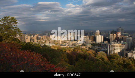 Montreal von oben am Mont Royal, Panorama, Sonnenuntergangszeit, Sonne auf Gebäuden... Stockfoto