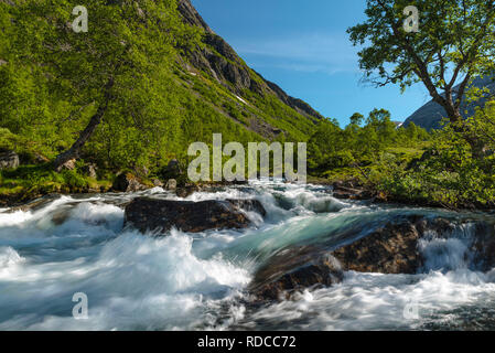 Die klarste Stream in einem Bergtal mit Birken im Frühjahr Farben unter einem blauen Himmel bedeckt. Norwegen, um hjelledalen. Stockfoto