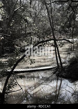 Das Waldland TX USA - 12/21/2018 - alte Holzbrücke im Sumpf in B&W Stockfoto