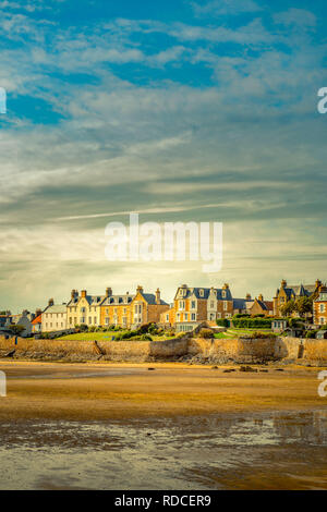 Europa, Großbritannien, Schottland, Küste, Küstenwanderweg, Fife Coastal Path, Elie, Bucht, Ebbe Stockfoto