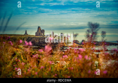 Europa, Großbritannien, Schottland, Küste, Küstenwanderweg, Fife Coastal Path, St. Monans Stockfoto