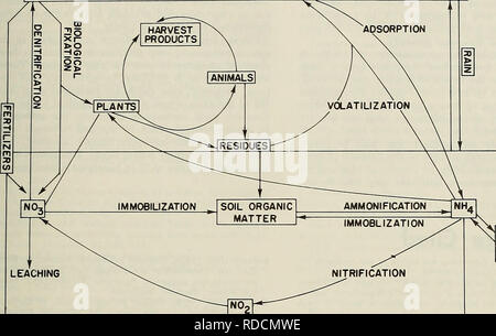 . Effiziente Nutzung von Stickstoff auf Ernte land im Nordosten. Pflanzen, Böden. Effiziente Nutzung der Stickstoff der Luft 29 NgO. Ng NH, Staub. Abfluss EROSION, AUSWASCHUNG TON UND ORGANISCHE komplexe Abbildung 20. Der Stickstoffkreislauf. oder der Beitrag von Böden zur N-de-derungen eines Ernteguts zu prognostizieren. Einige Laborverfahren erscheinen vielversprechend, aber die Kalibrierung dieser Verfahren in das Feld mit dem Erntegut Anforderungen fehlt. Mehr Daten müssen von der Forschung unter landwirtschaftlichen Bedingungen und an zahlreichen Standorten eingeholt werden, bevor die Laboruntersuchungen der N Status des Bodens korrelieren die Feldbedingungen. Bisher, Zeit und e Stockfoto