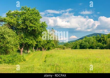 Schöne Landschaft im Frühling. Wiese unter wilden Apfelbäumen. Berge in der Ferne. flauschige Wolken am blauen Himmel. warmen Nachmittag. Stockfoto