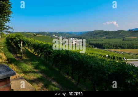 Grinzane Cavour, Piemont, Italien. Juli 2018. Am Fuße der Burg rund um himmlische Aussicht auf die Weinberge der Gegend. Es ist kein Zufall. Stockfoto