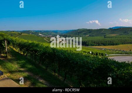 Grinzane Cavour, Piemont, Italien. Juli 2018. Am Fuße der Burg rund um himmlische Aussicht auf die Weinberge der Gegend. Es ist kein Zufall. Stockfoto