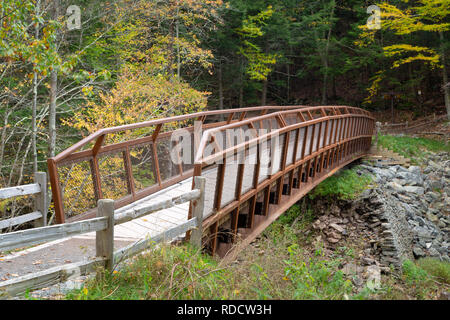 Eine Brücke entlang der Kaaterskill fällt weg Kreuzung Spruce Creek über Kaaterskill fällt. Kaaterskill wilden Wald, New York Stockfoto