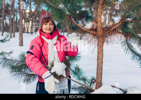 Ältere Frau von Tanne am sonnigen Wintertag im Wald posieren. Frau Walking im Freien Stockfoto