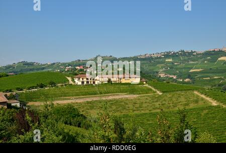 Grinzane Cavour, Piemont, Italien. Juli 2018. Am Fuße der Burg rund um himmlische Aussicht auf die Weinberge der Gegend. Es ist kein Zufall. Stockfoto