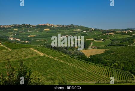 Grinzane Cavour, Piemont, Italien. Juli 2018. Am Fuße der Burg rund um himmlische Aussicht auf die Weinberge der Gegend. Es ist kein Zufall. Stockfoto