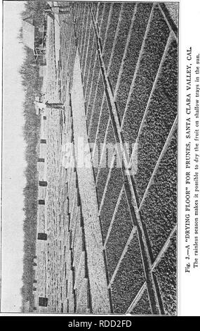 . Moderne Obst Marketing: Eine vollständige Abhandlung über Ernte, Verpackung, Lagerung, Transport und Verkauf von Obst. Obst Handel. . Bitte beachten Sie, dass diese Bilder sind von der gescannten Seite Bilder, die digital für die Lesbarkeit verbessert haben mögen - Färbung und Aussehen dieser Abbildungen können nicht perfekt dem Original ähneln. extrahiert. Braun, Glückseligkeit, S., 1880 -. New York: Orange Judd Unternehmen Stockfoto