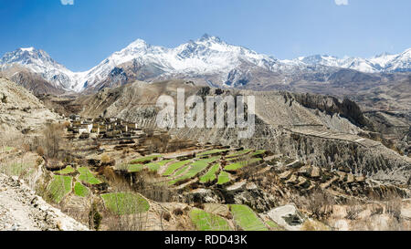 Terrassierten Feldern von muktinath Tal und Thorong La Pass, Annapurna Circuit, Nepal Stockfoto